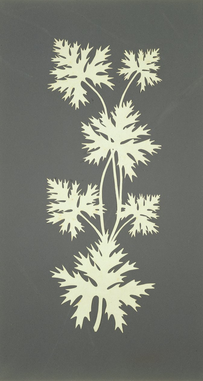 Leaves by Philipp Otto Runge