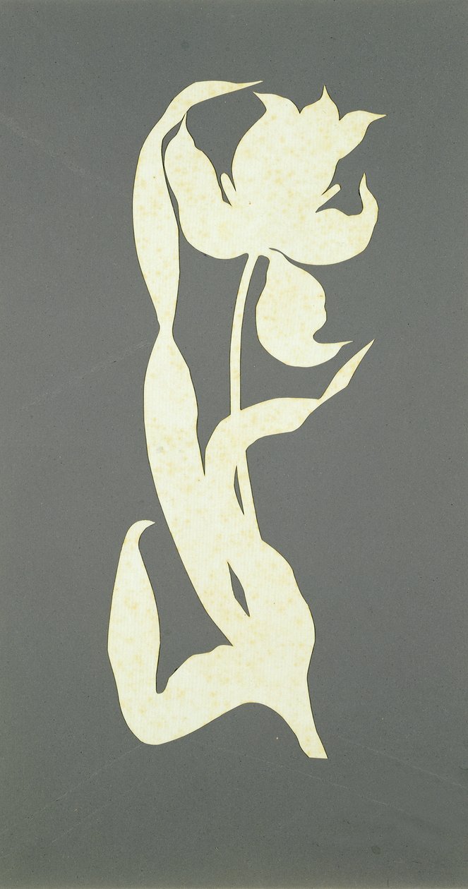 Tulip by Philipp Otto Runge