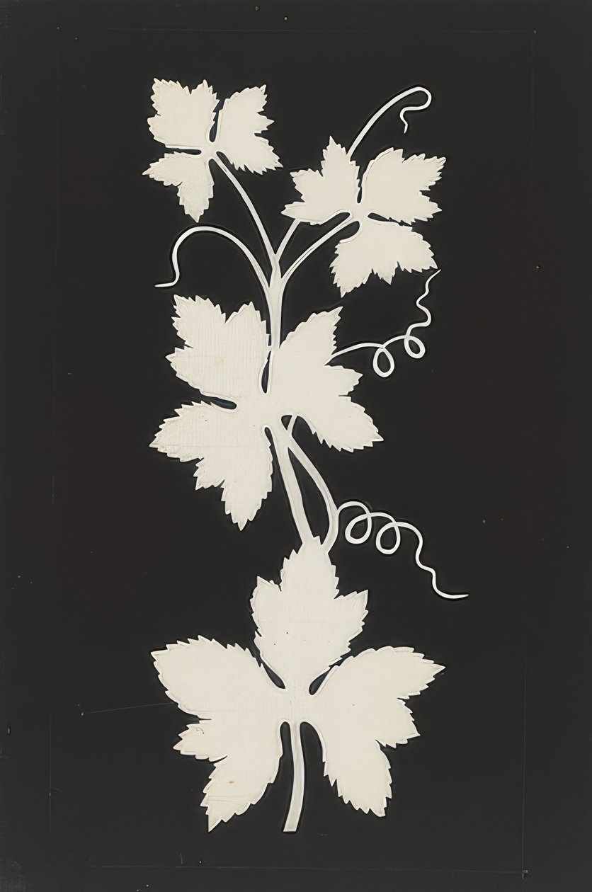 Vine Leaves by Philipp Otto Runge