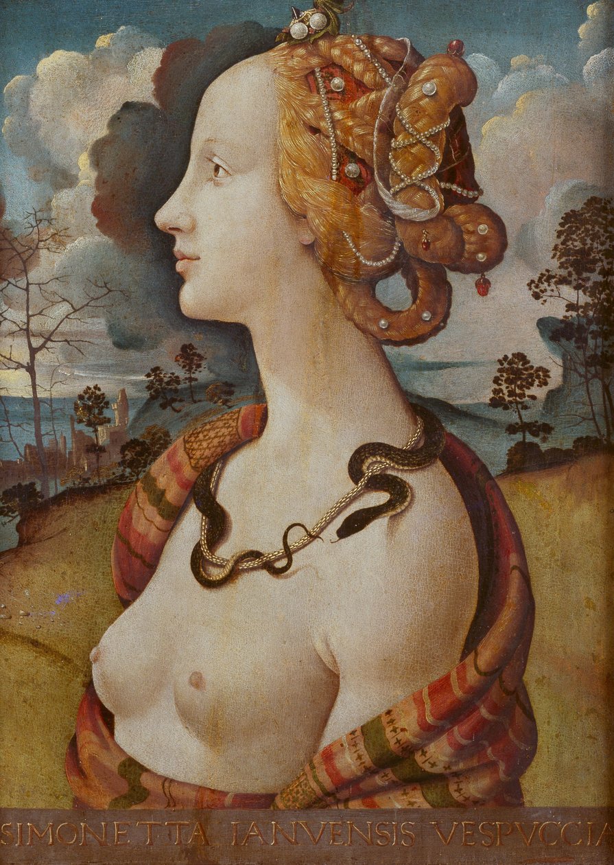 Portrait of a Woman, known as Simonetta Vespucci by Piero di Cosimo