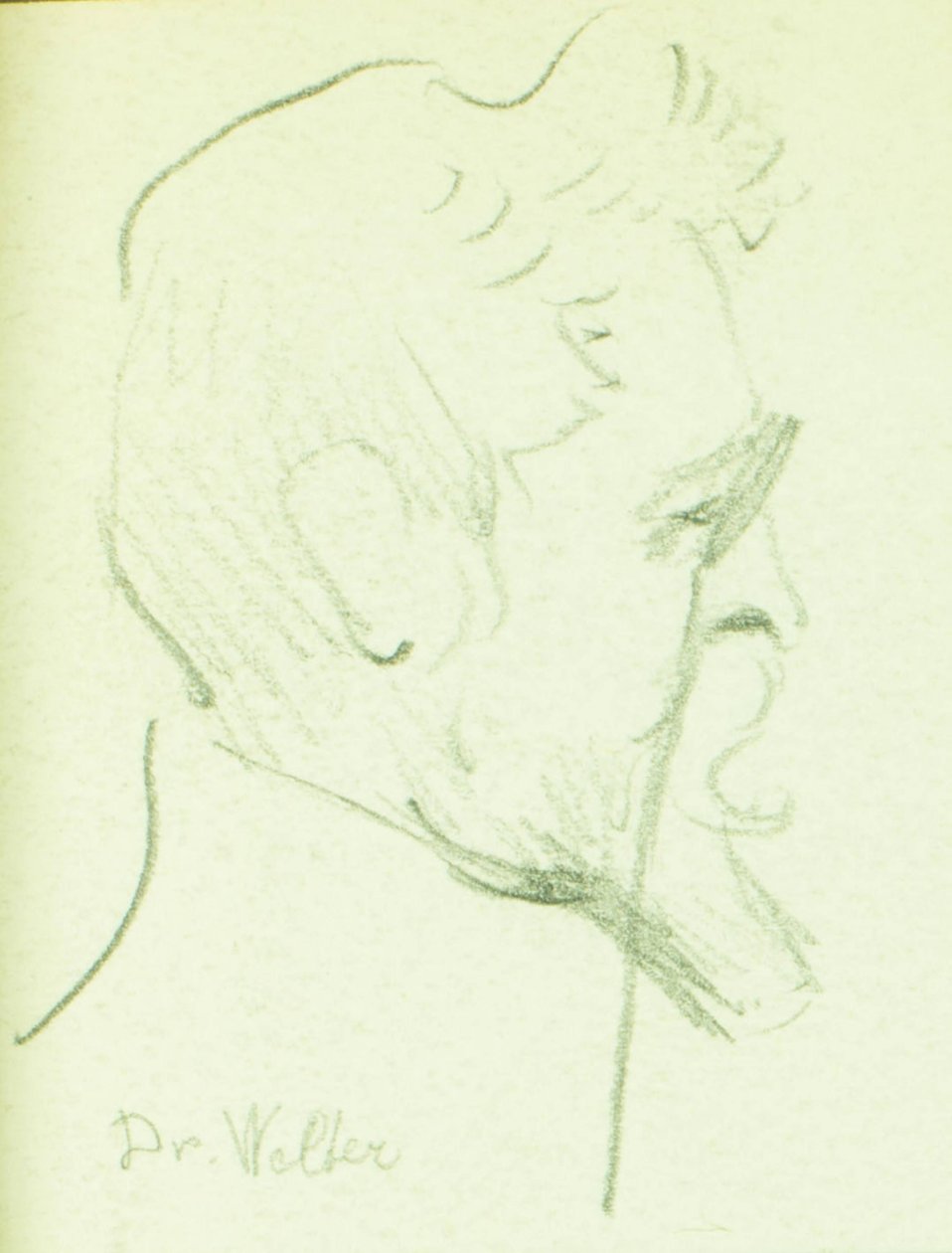 Dr. Welter by Pierre Blanc