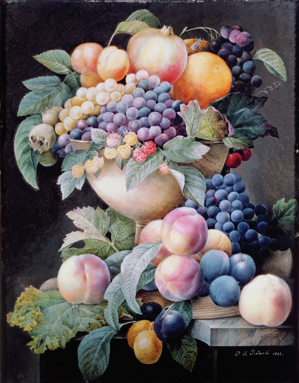 Fruits by Pierre Joseph Redouté