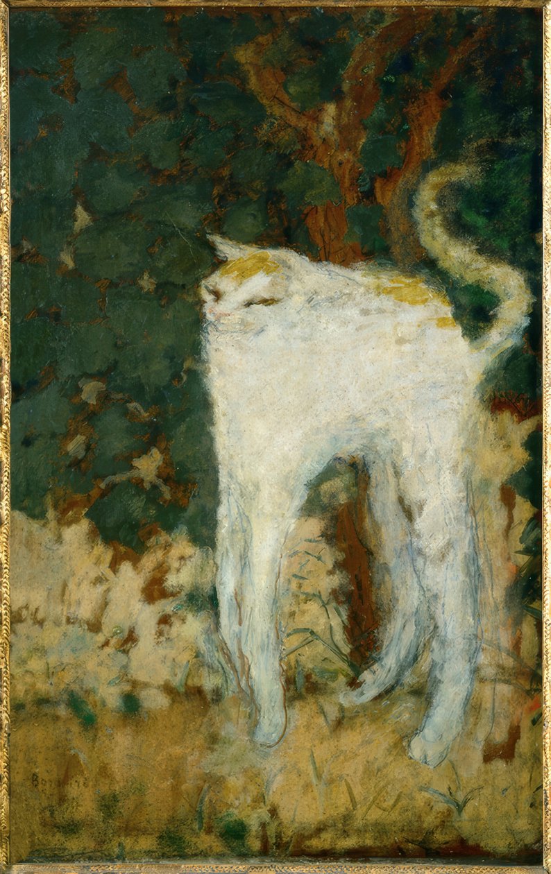 The White Cat by Pierre Bonnard