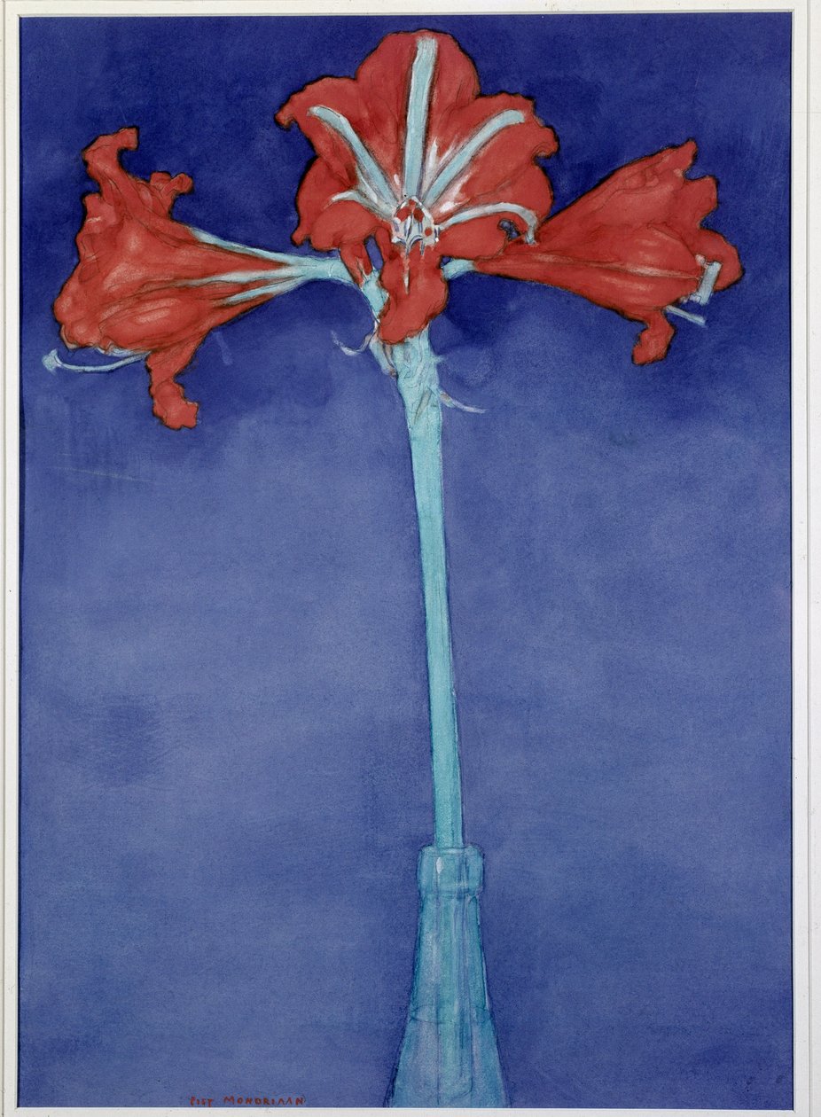Amaryllis by Piet Mondrian