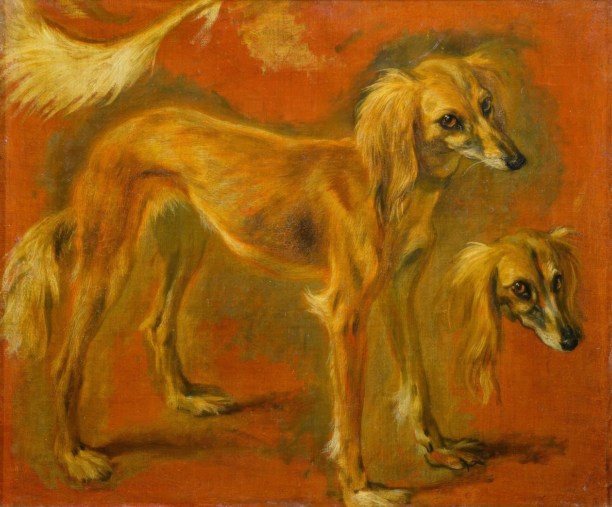 Two Studies of a Greyhound by Pieter or Peter Boel