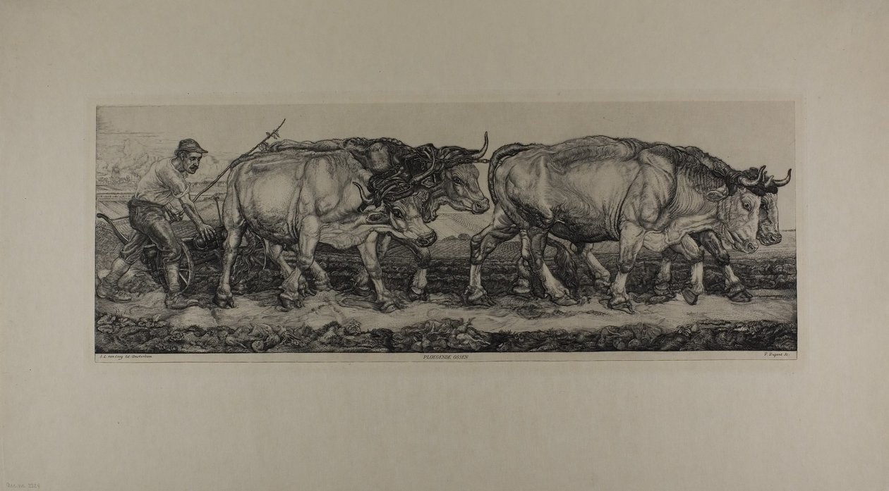 Plowing Oxen by Pieter Dupont