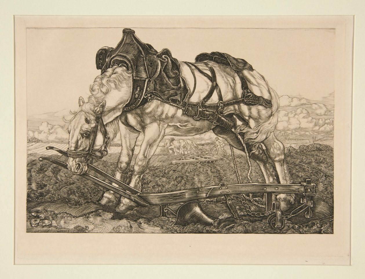Work Horse by Pieter Dupont