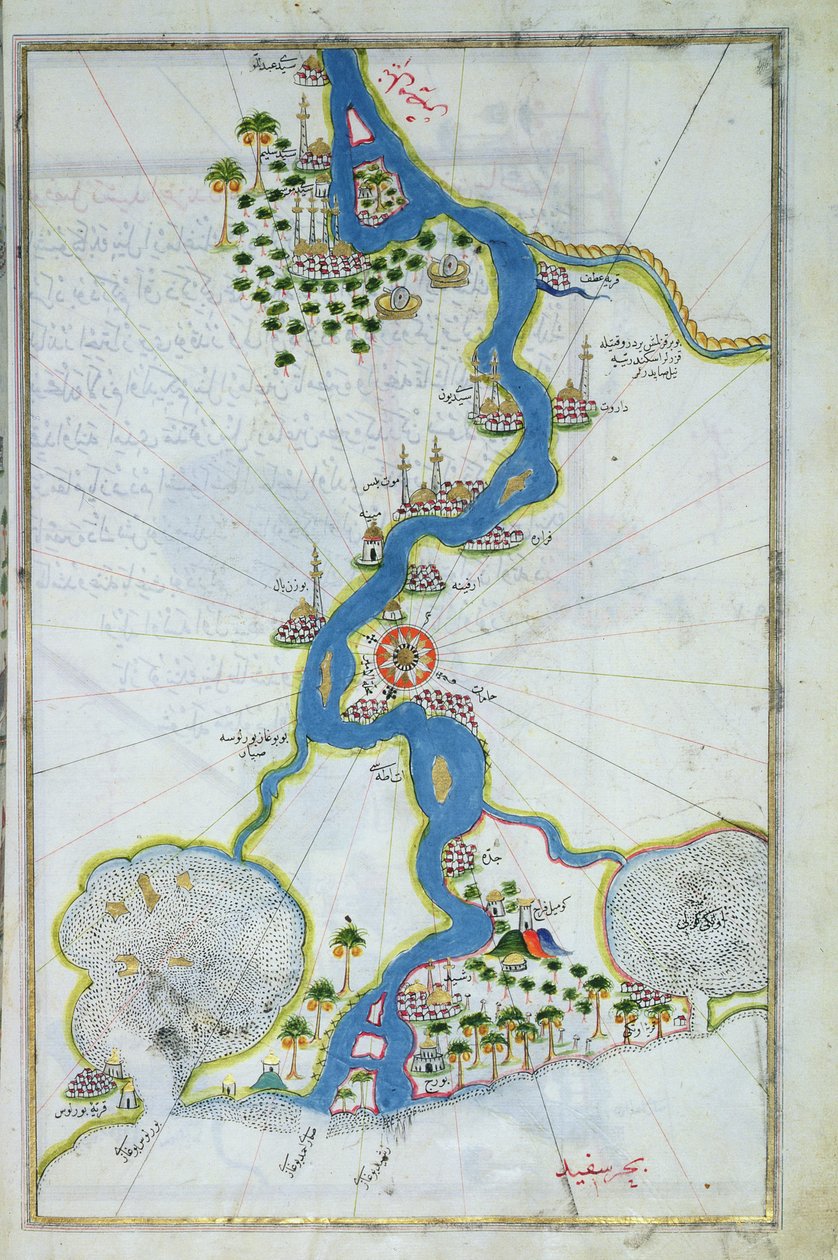 Map of the Nile from the Kitab-I Bahriye by Piri Reis