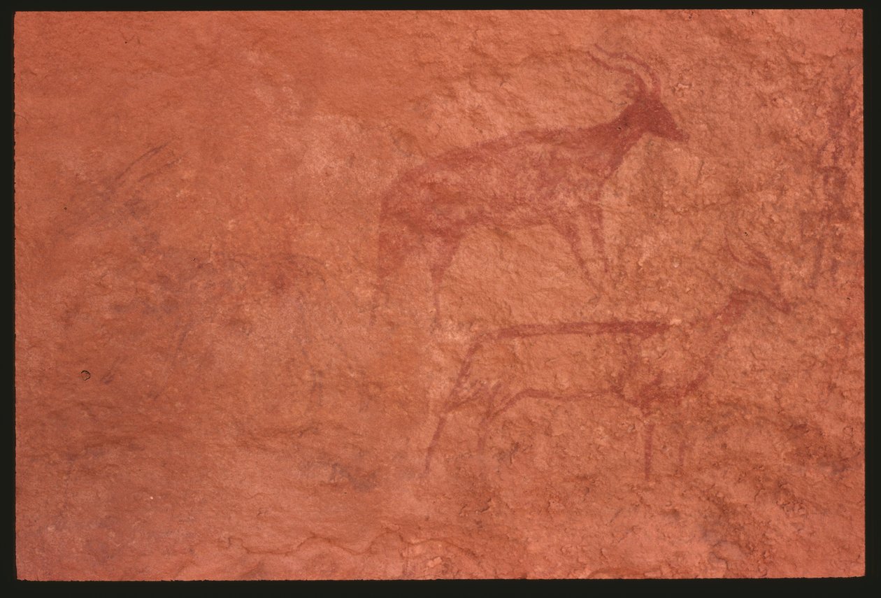 Cows by Prehistoric
