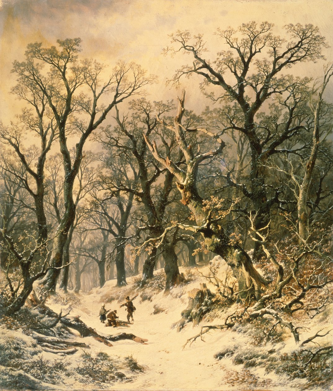 The Forest by R. Van Hannen