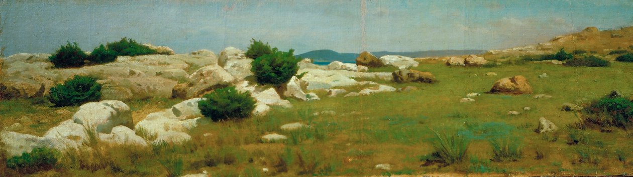 Castiglioncello by Raffaello Sernesi