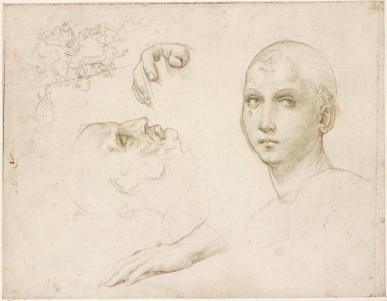 Studies for the Trinity of San Severo and Sketches after Leonardo by Raffaello Sanzio Raphael