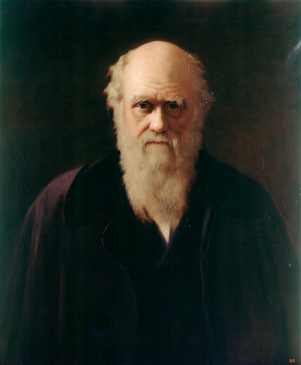 Charles Darwin by Reilly Reilly