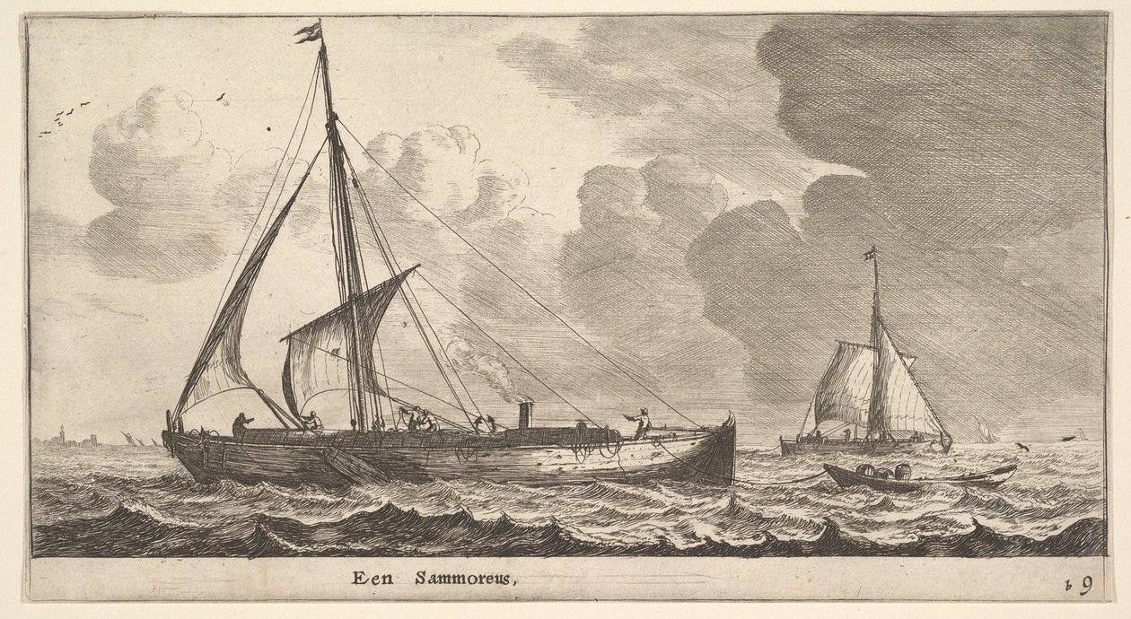 A Samoureus by Reinier Zeeman