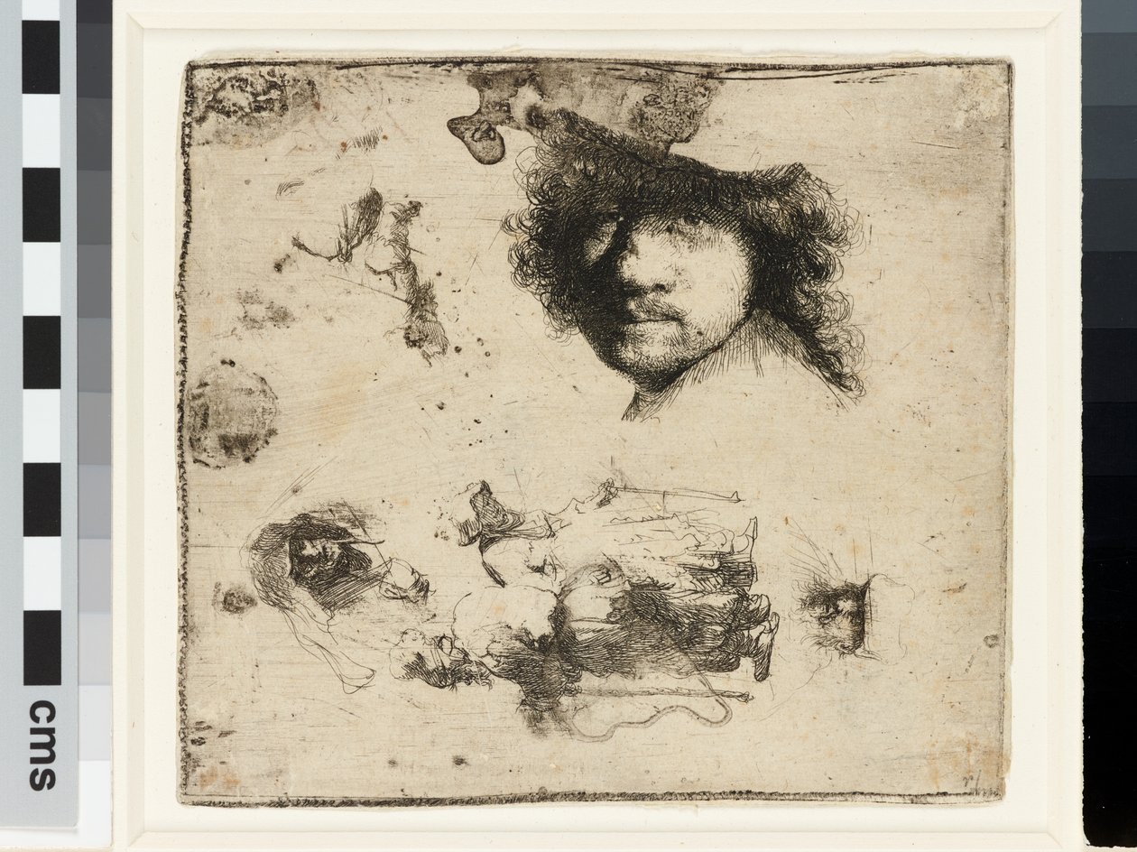 Sheet of studies by Rembrandt van Rijn