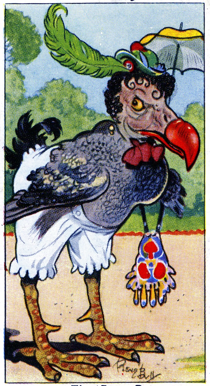 The Dodo by René Bull