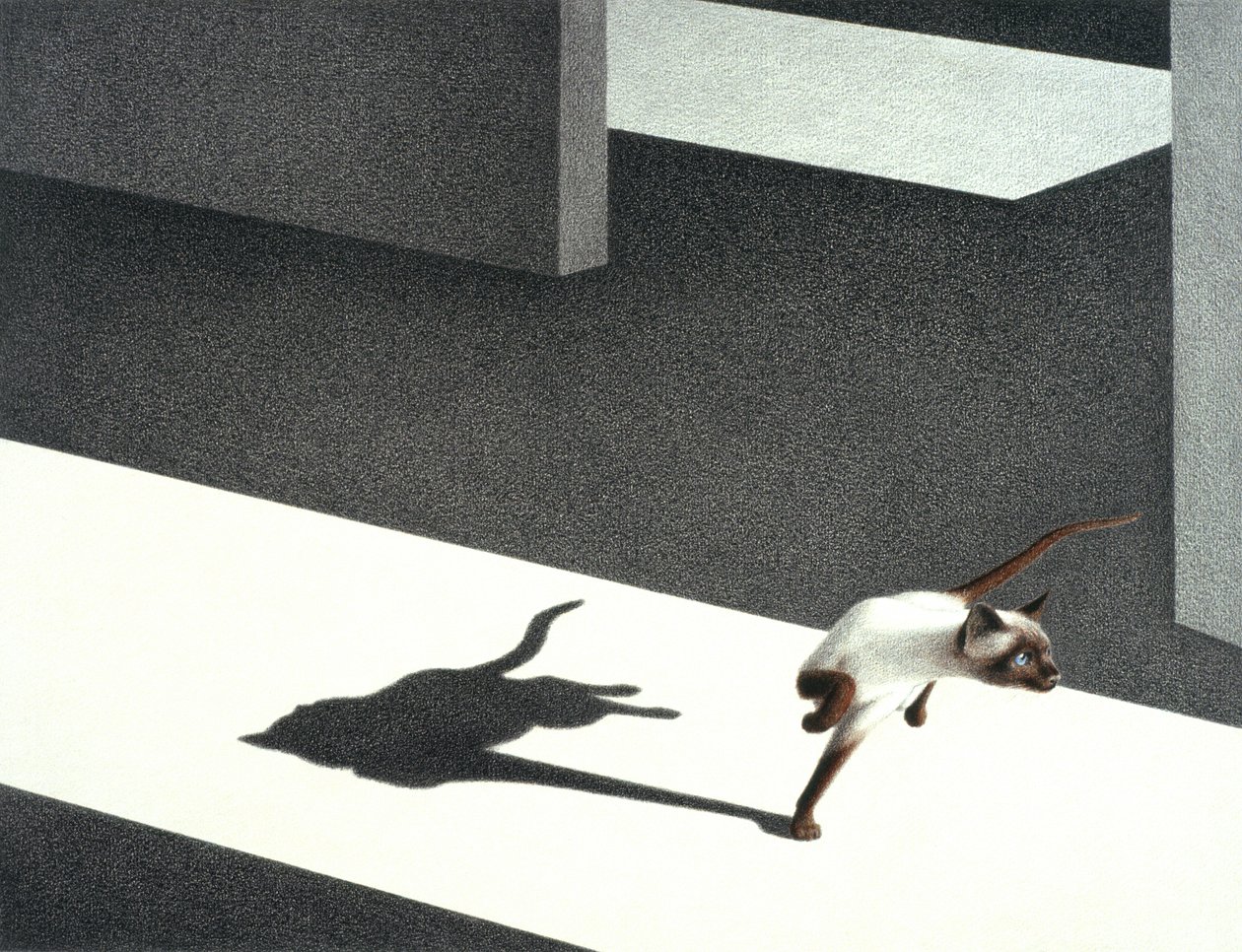 Corner by Rene Boin