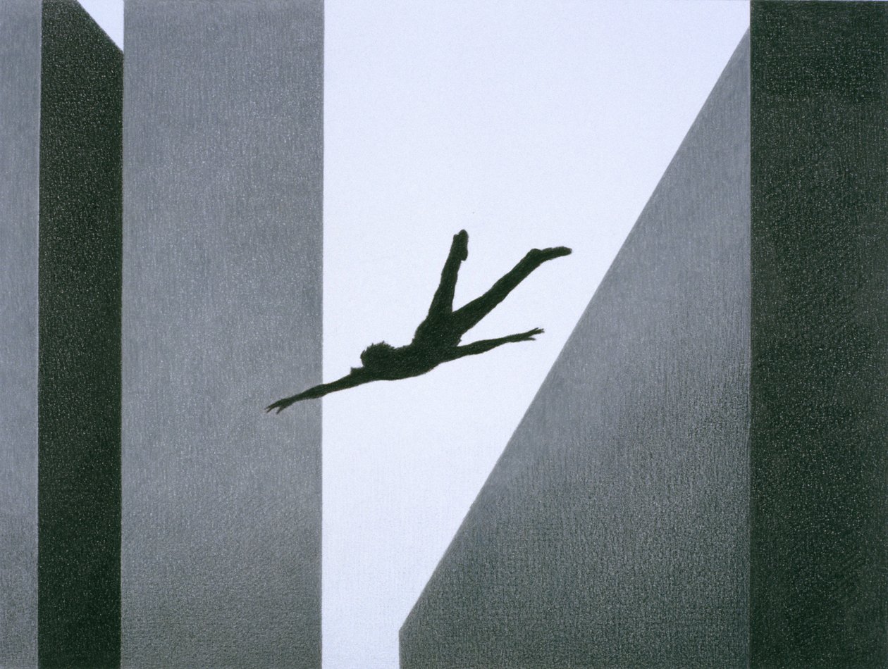 Flying by Rene Boin