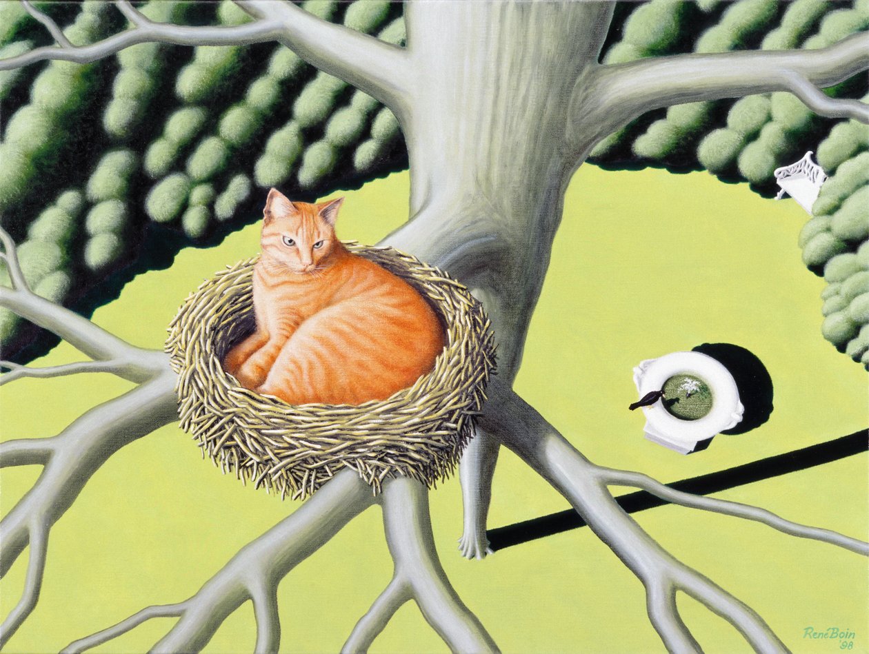 Nest by Rene Boin