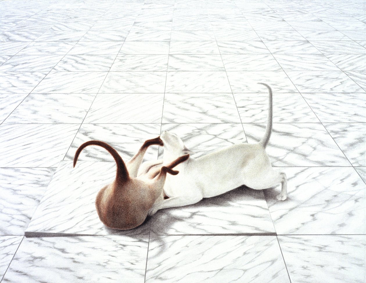 Playing by Rene Boin