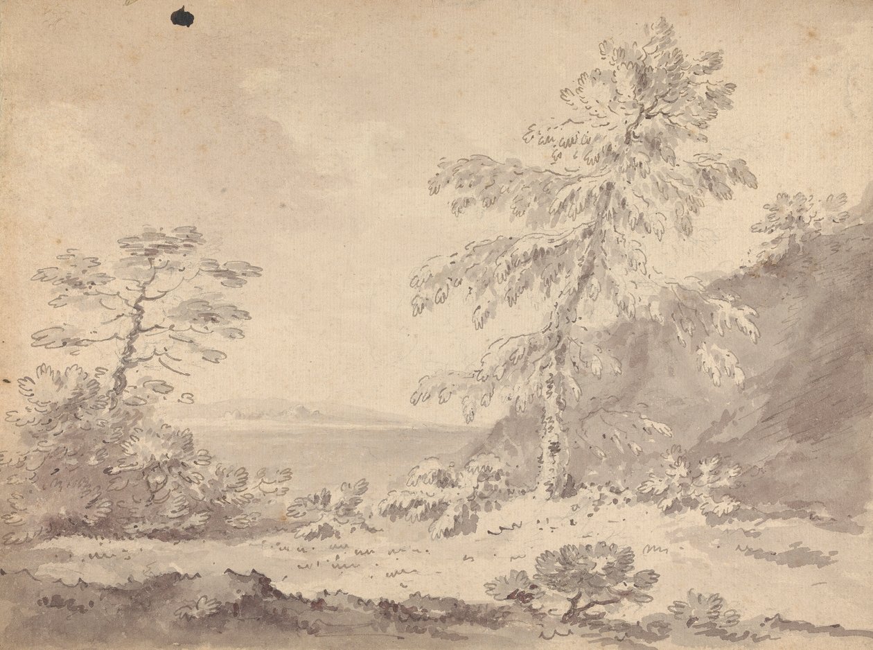 Two Trees in a Landscape by Rev. William Gilpin