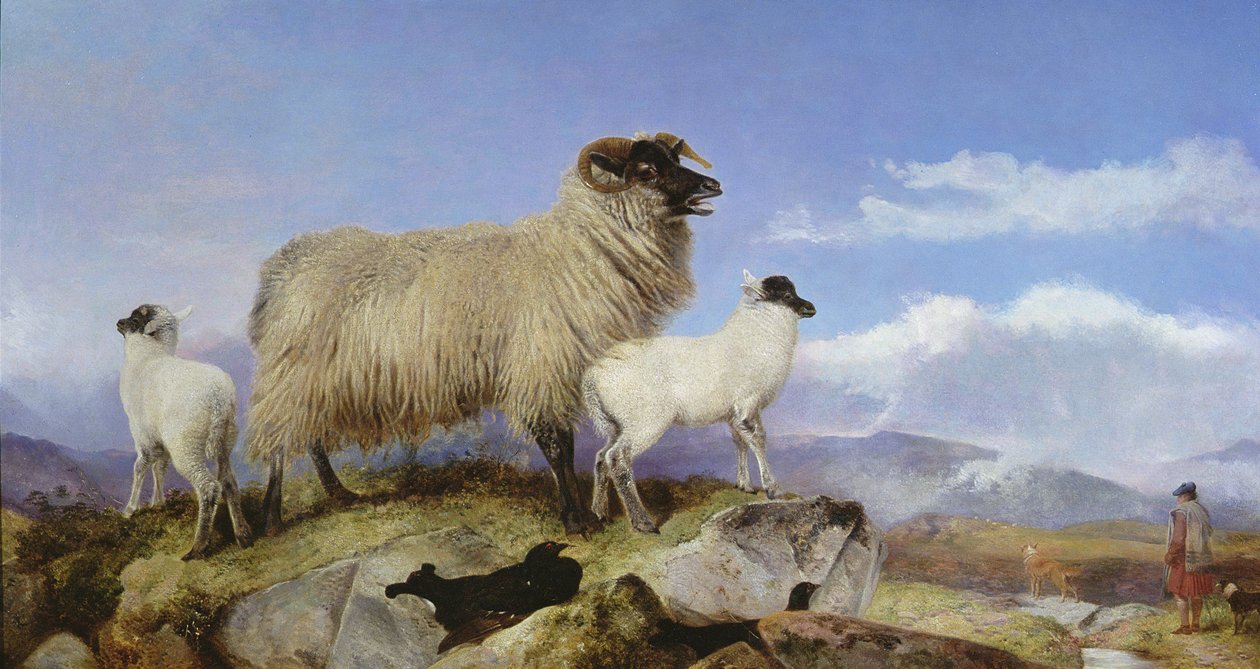 Ewe and Lambs by Richard Ansdell