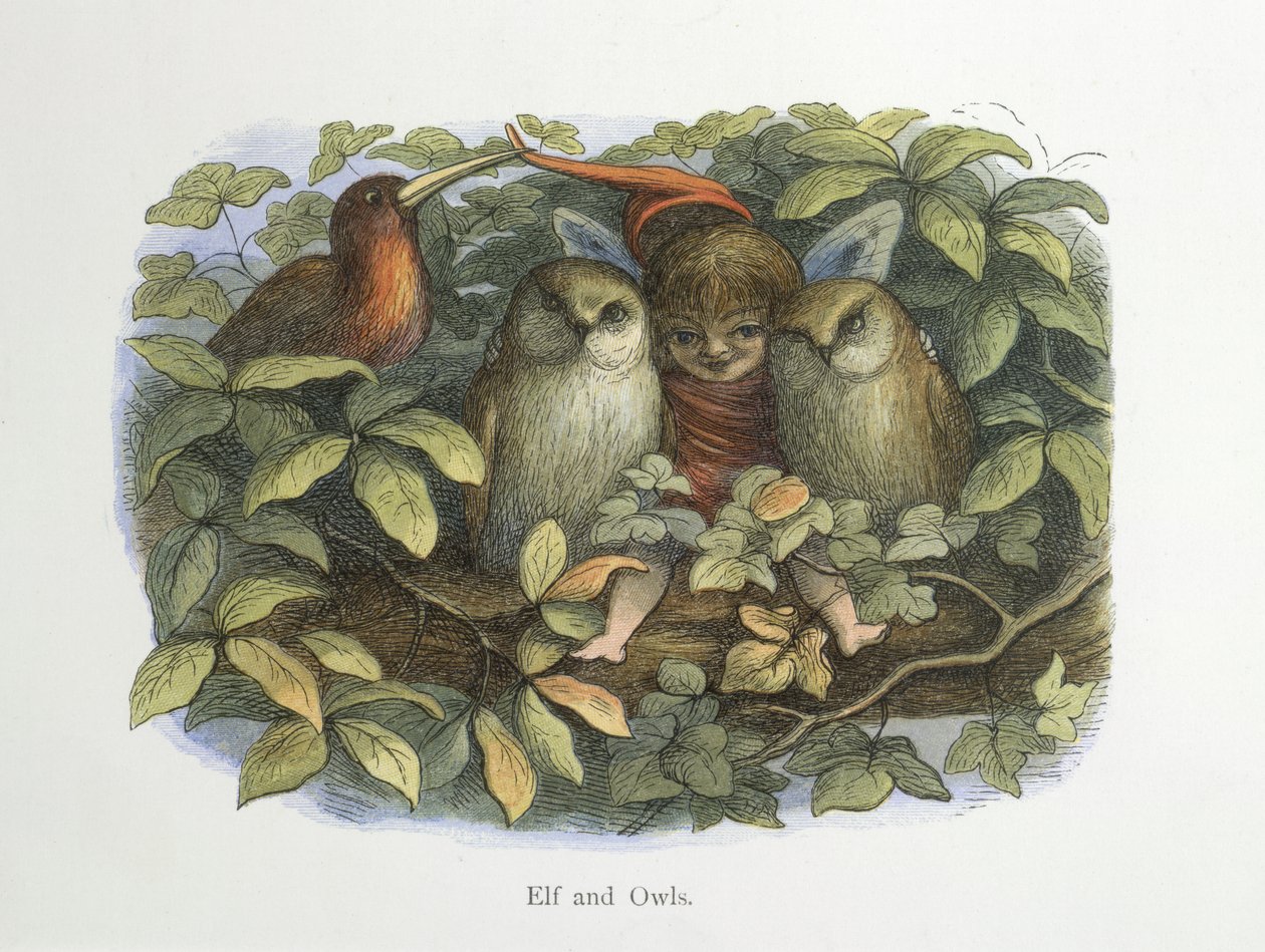 Elf and owls by Richard Doyle