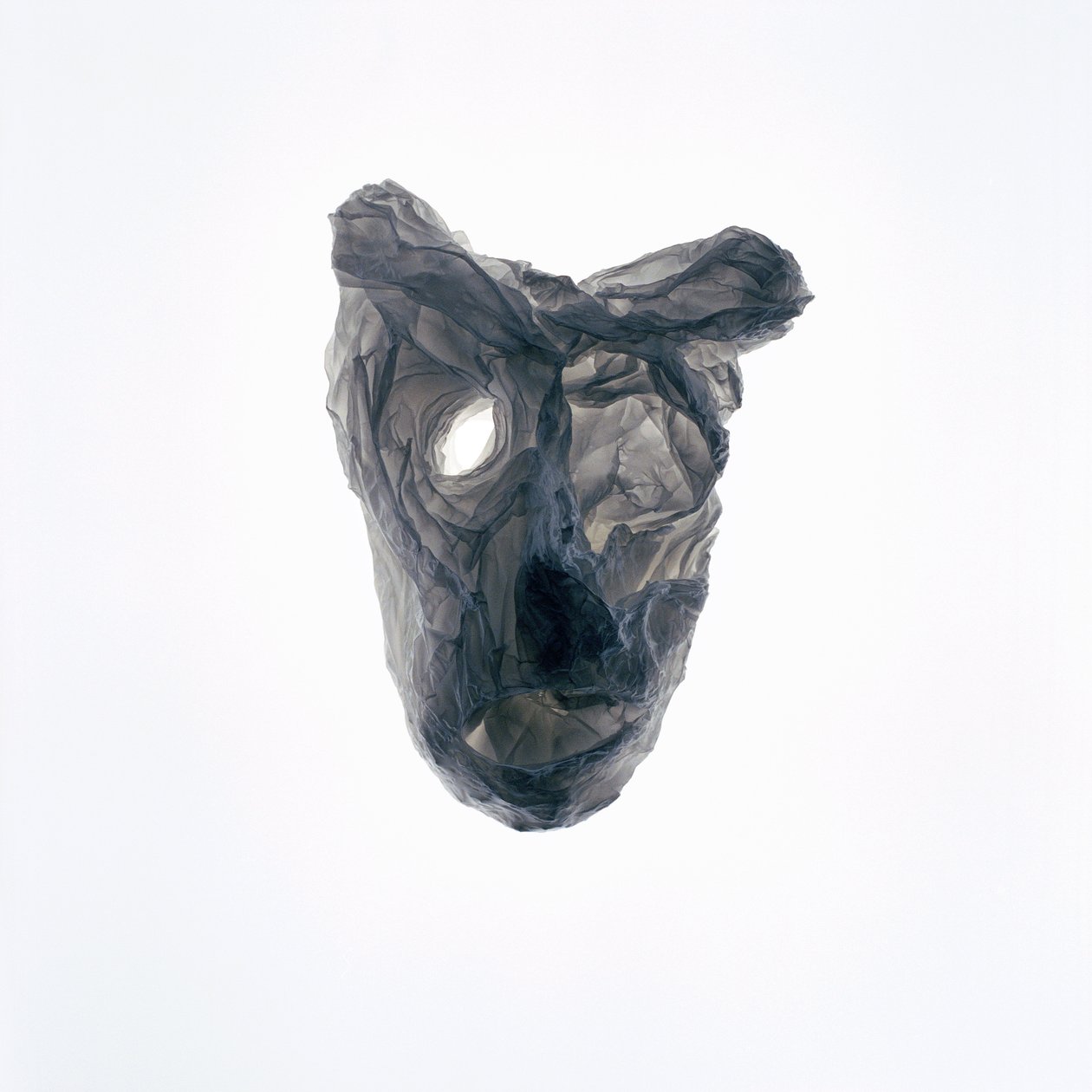 Ghoulie, 2015 by Richard Green