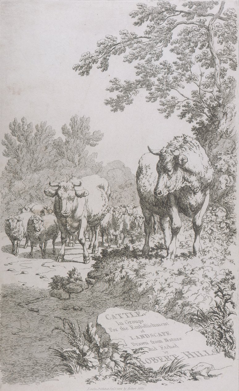 Title Page for Cattle in Groups for the embellishment of Landscape by Robert Hills