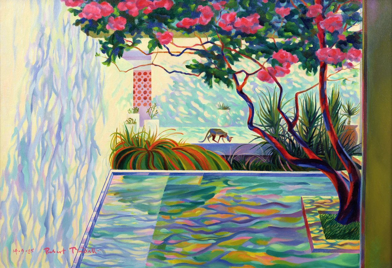 Cat in a Mexican Garden by Robert Tyndall