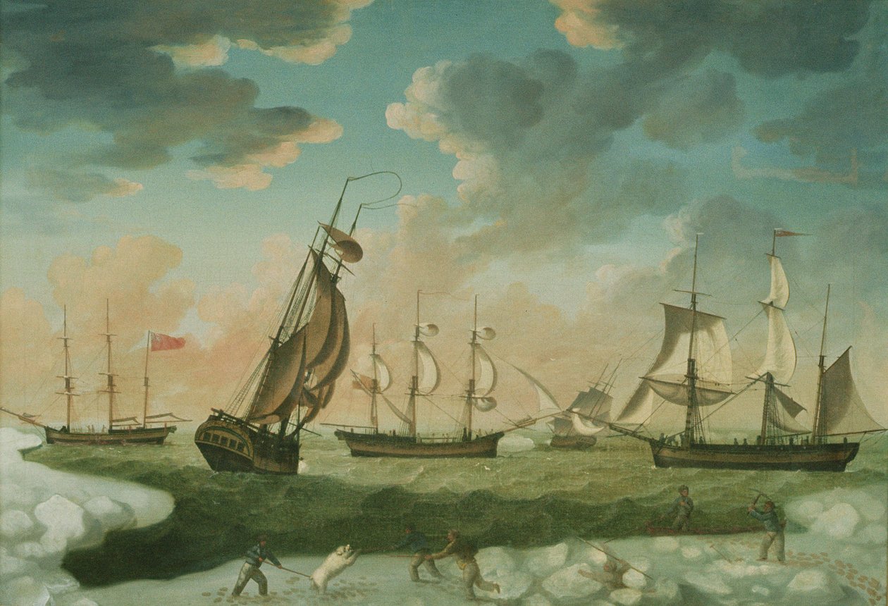 Arctic Scene by Robert Willoughby