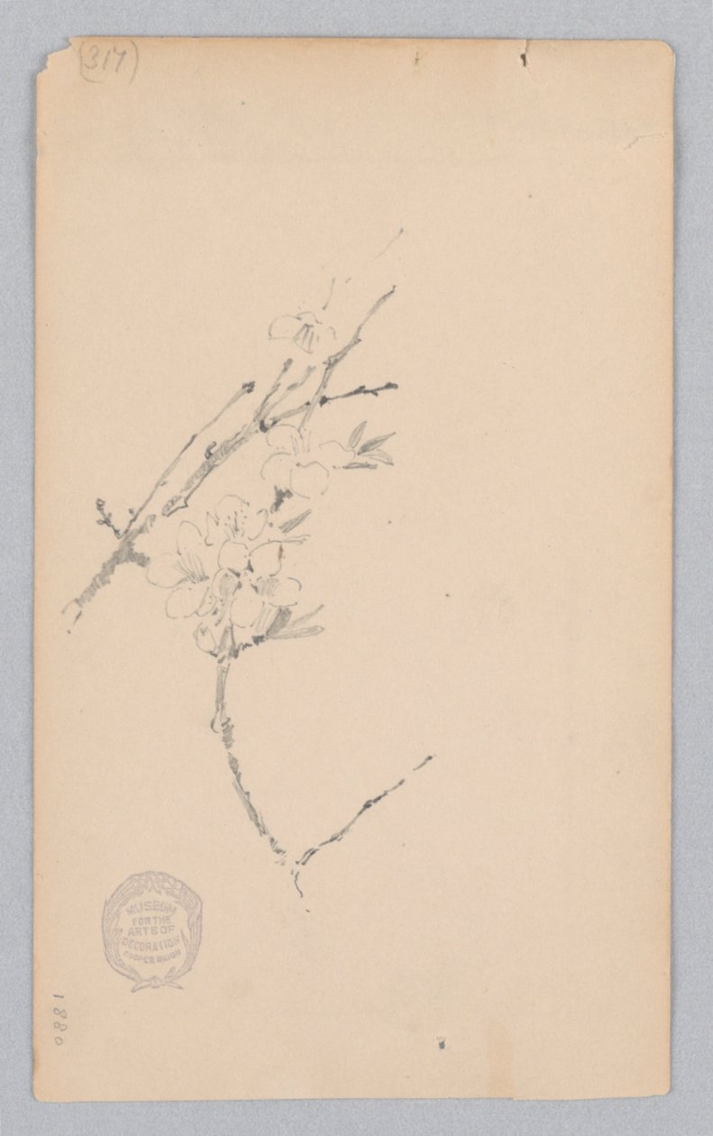 Bough by Robert Frederick Blum