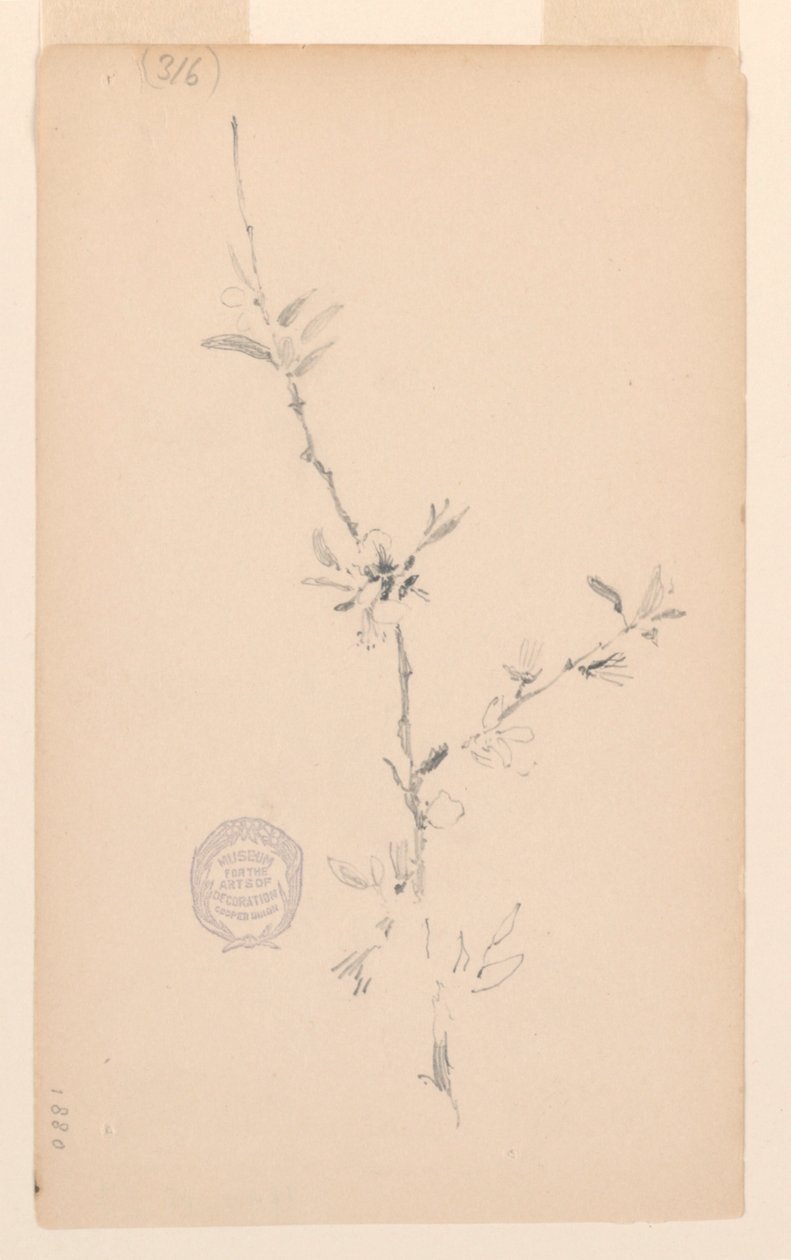 Bough by Robert Frederick Blum