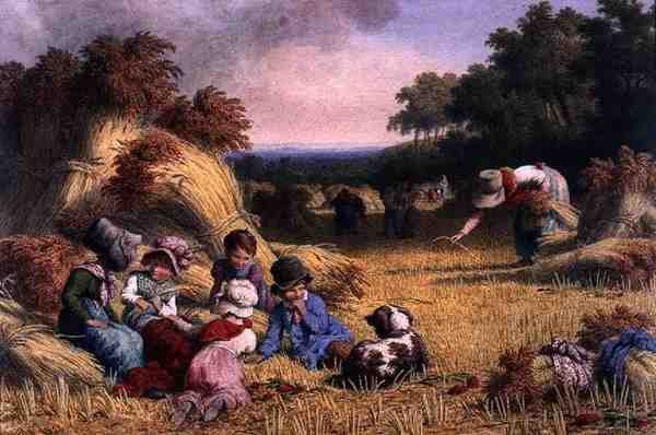 Harvest Field by Robert Hills