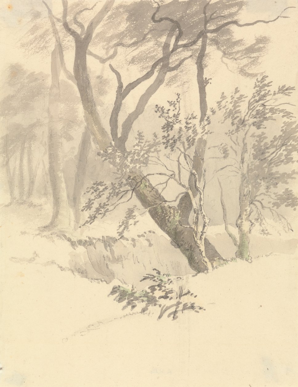 The Wood by Robert Hills