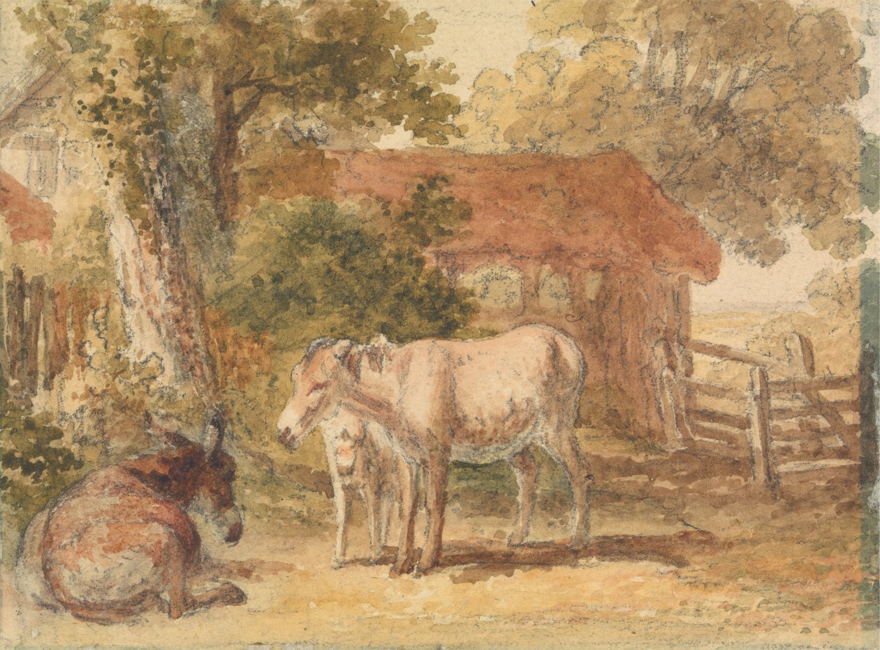 Three Donkeys by Robert Hills