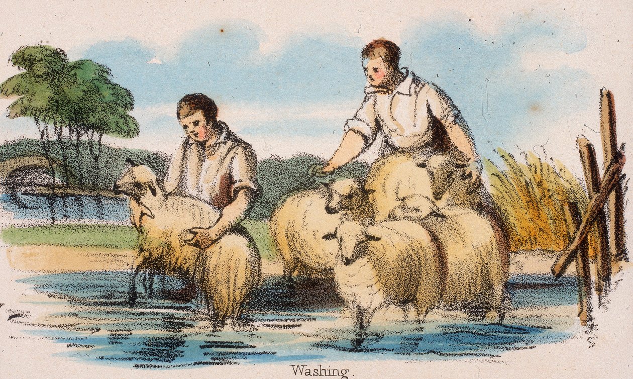 Washing by Robert Kent Thomas