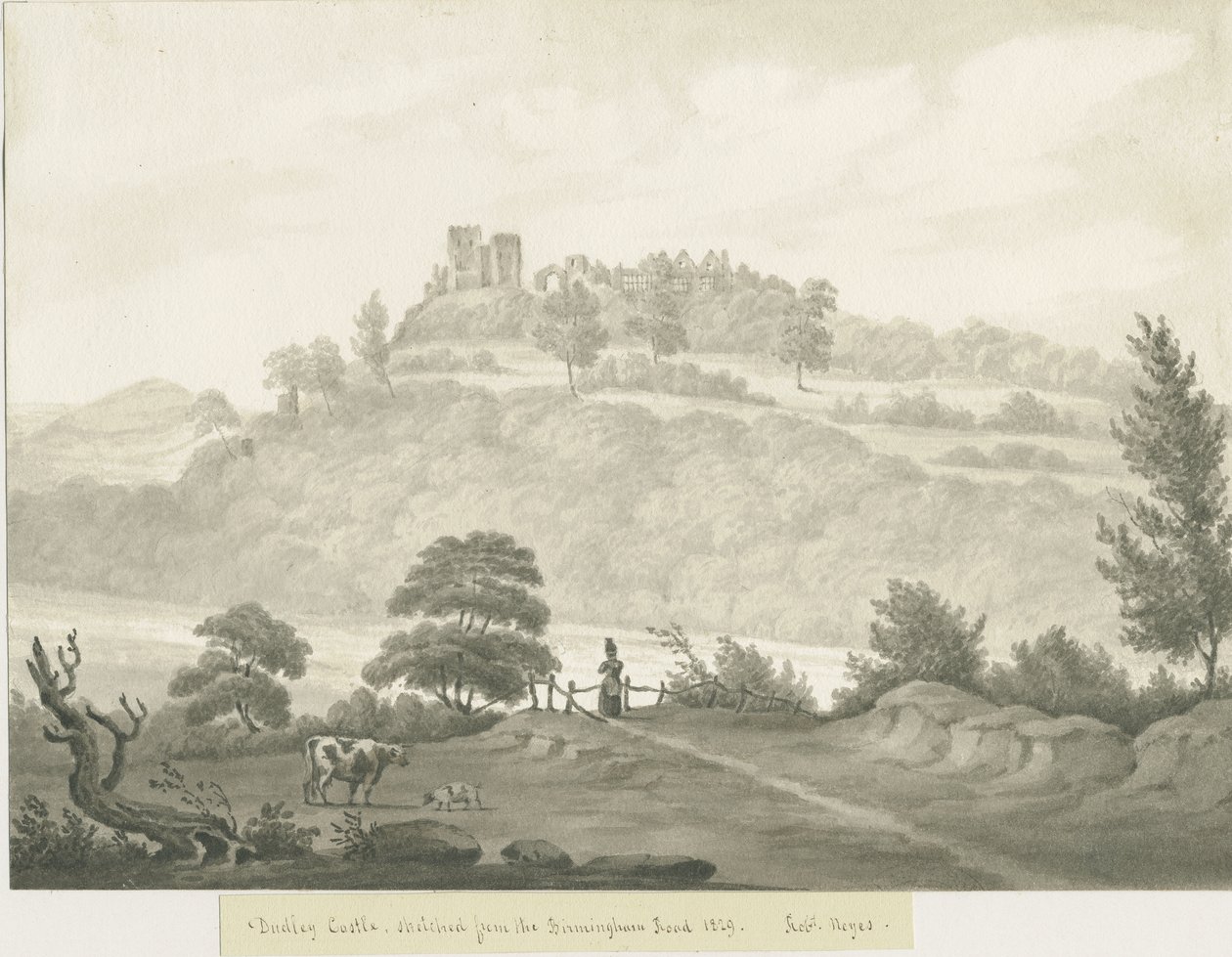 Dudley Castle by Robert Noyes