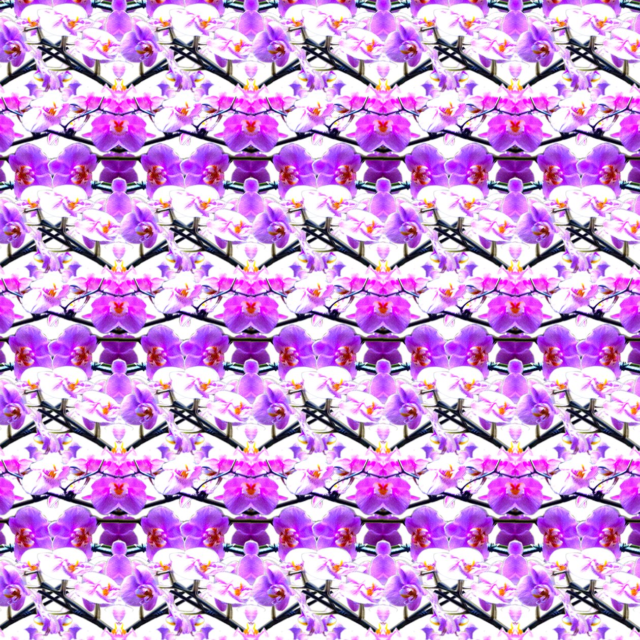 Purple Orchid Repeat by Robyn Parker