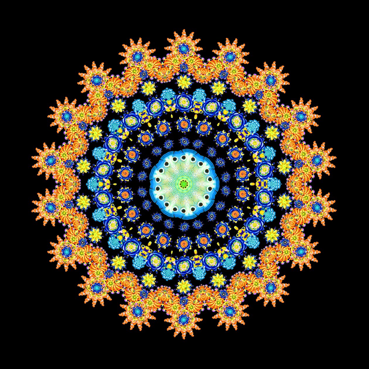 Tropical Fish Wheel 2 by Robyn Parker