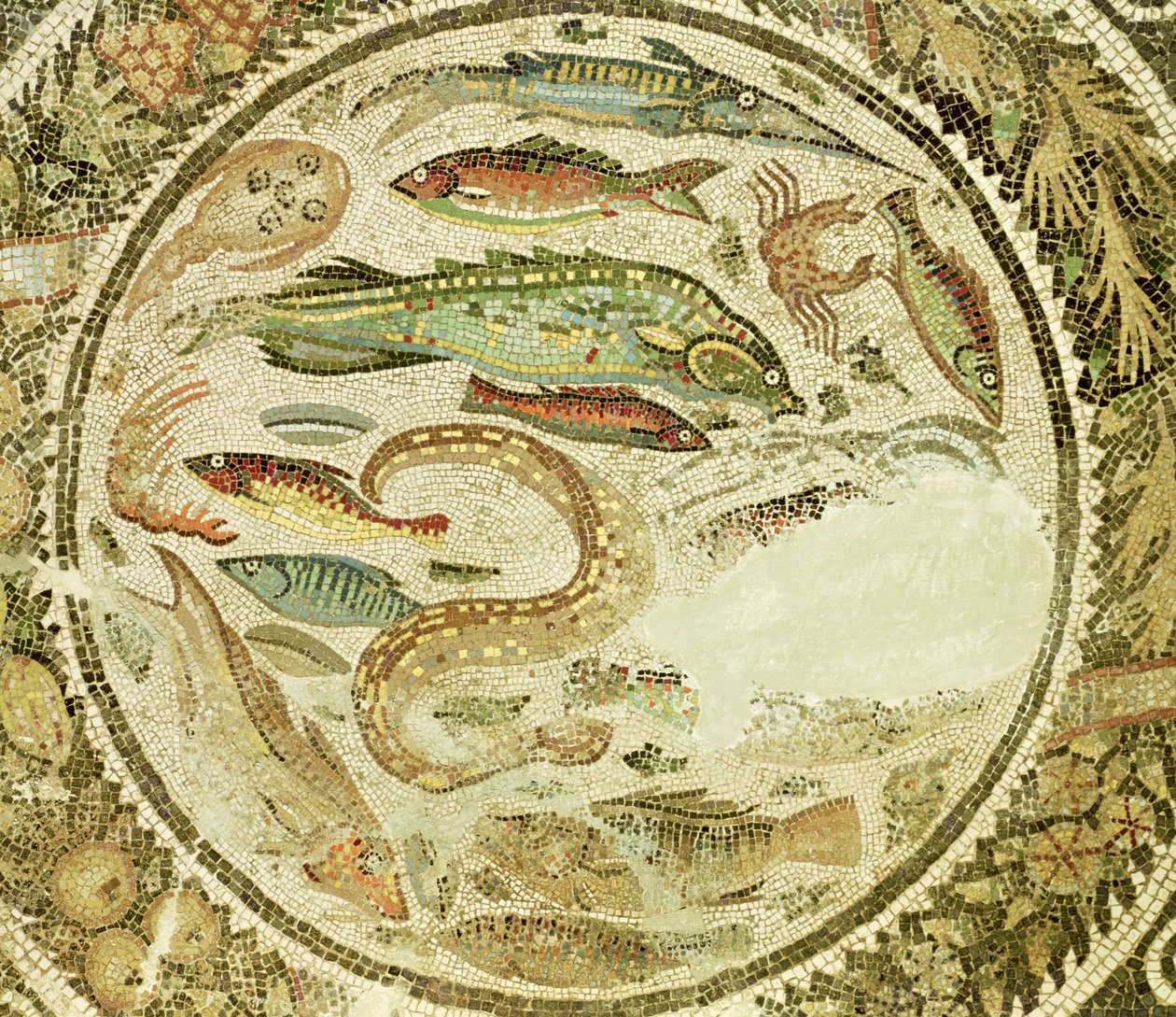 Fish (detail) by Roman