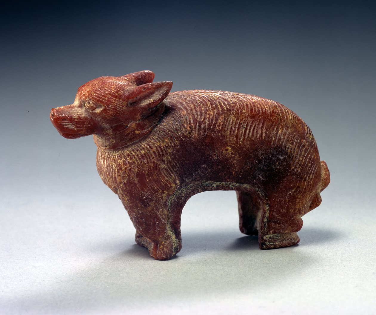 Figure of a Dog by Roman