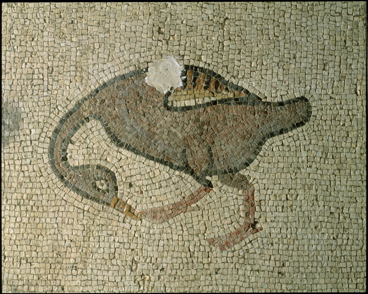 Floor of a Basilica by Roman