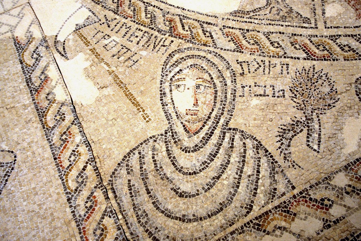 Sepphoris Mosaic, Tzippori by Roman