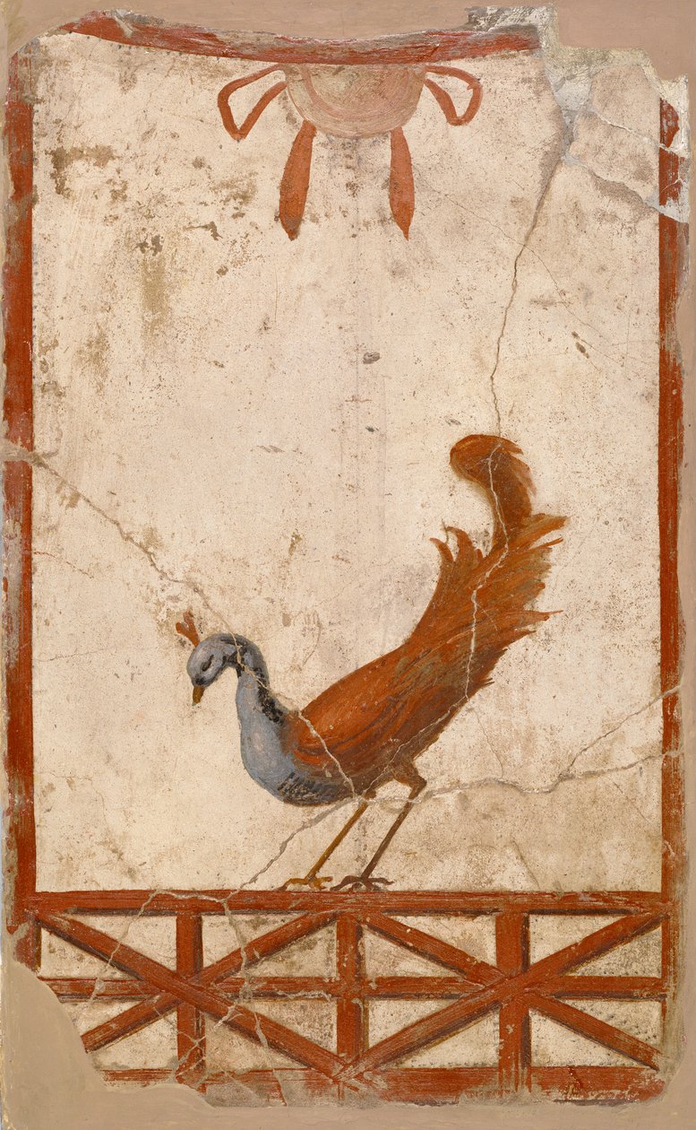Wall Fragment with Peacock by Roman