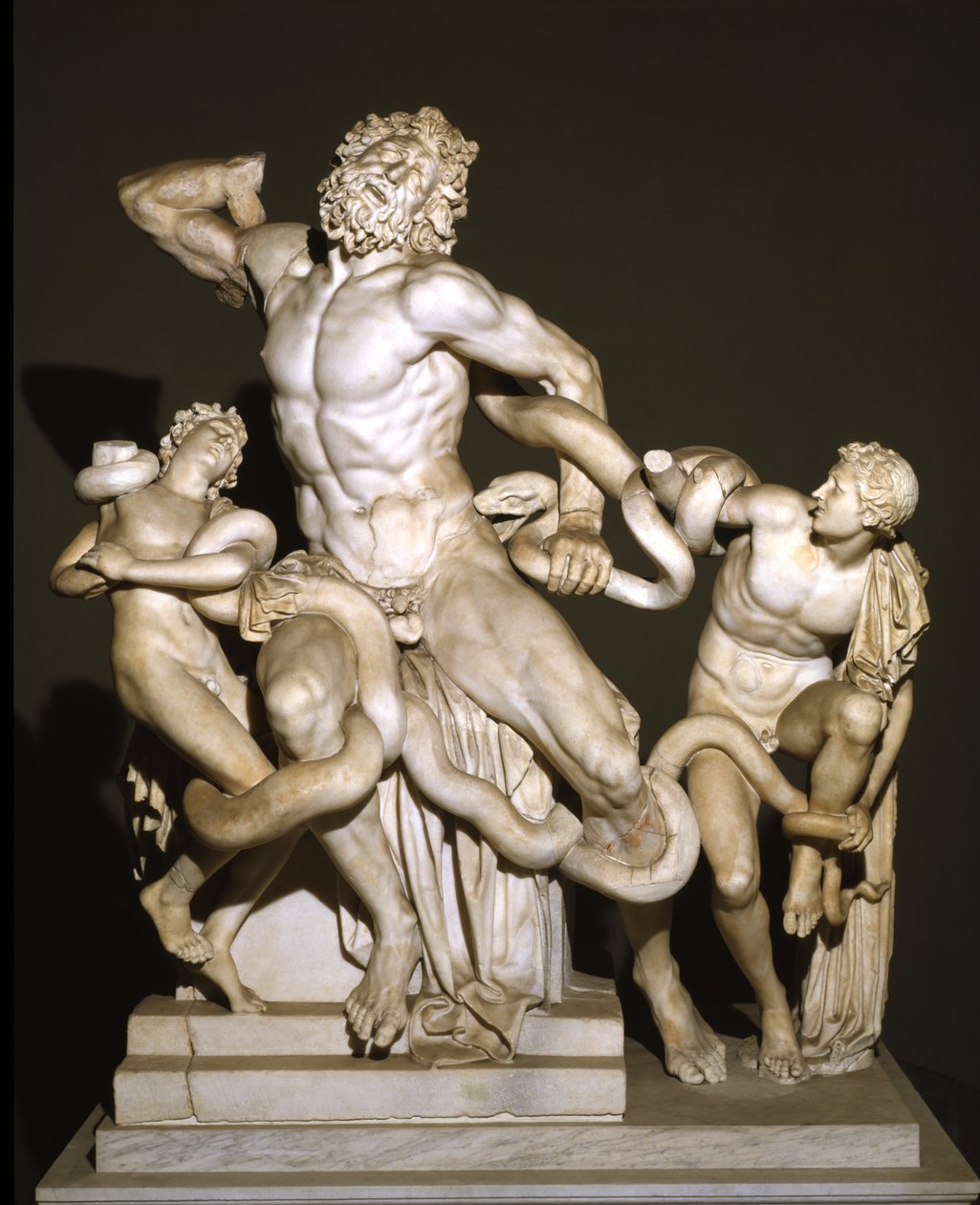 Laocoön and His Sons by Roman