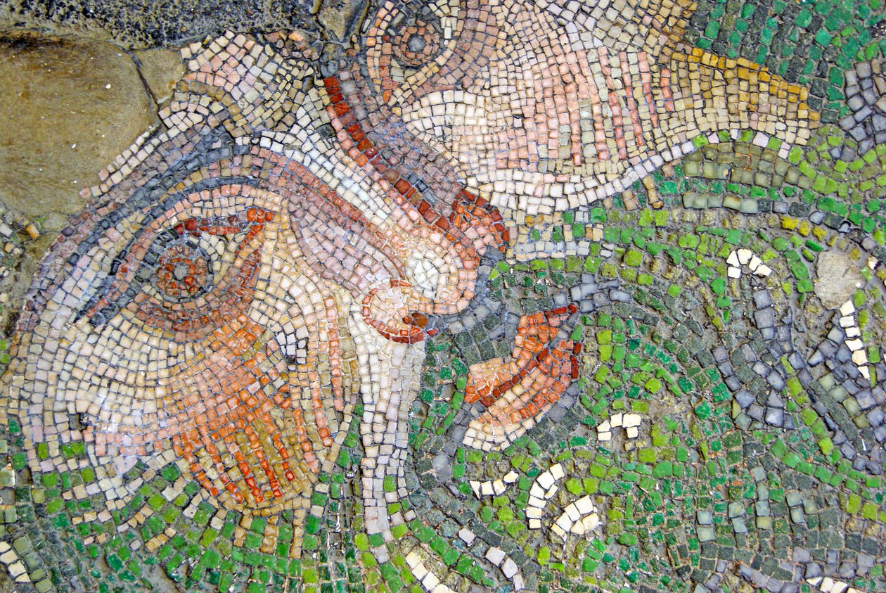 Unknown Image by Roman