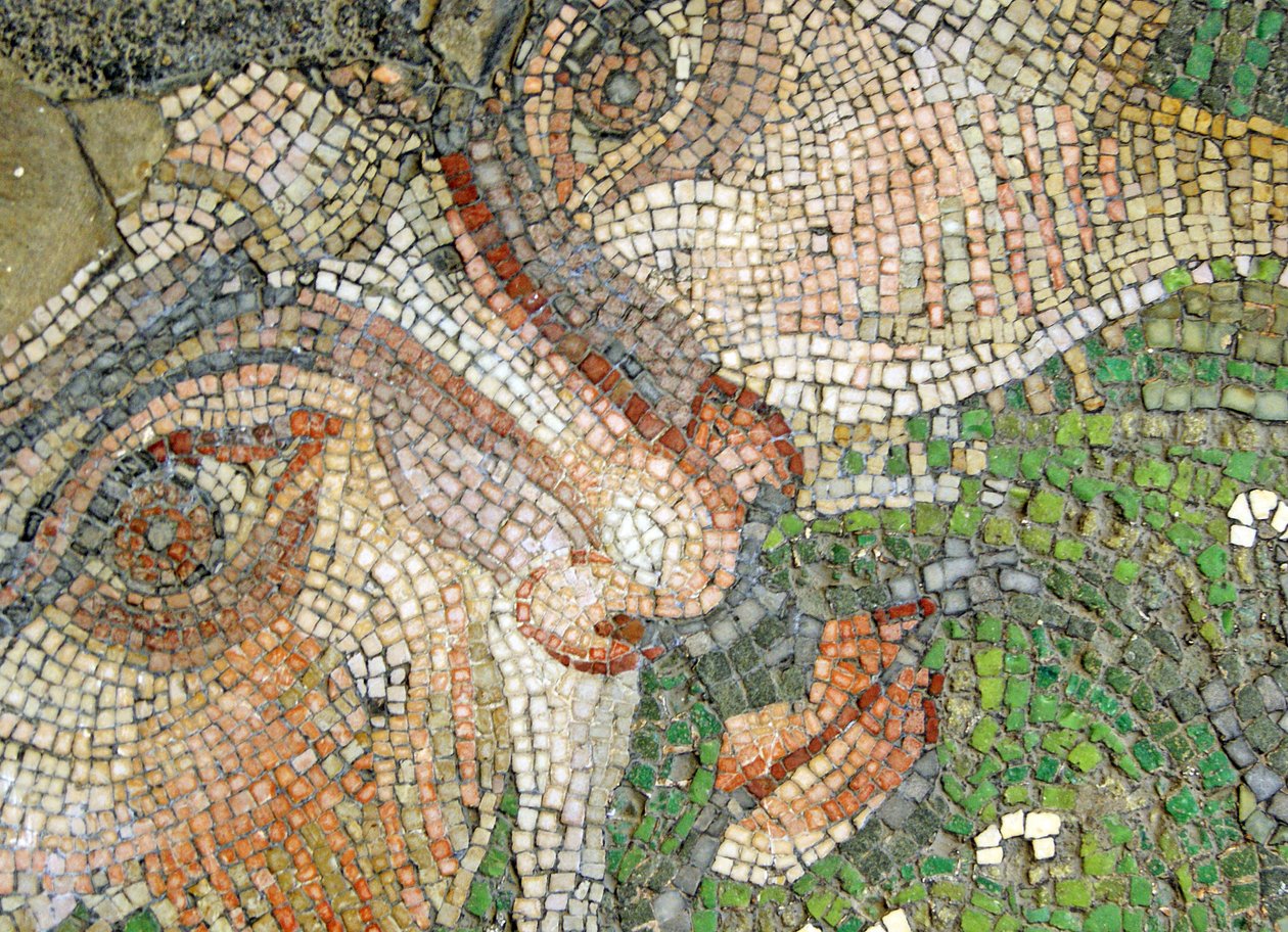 Unknown Image by Roman