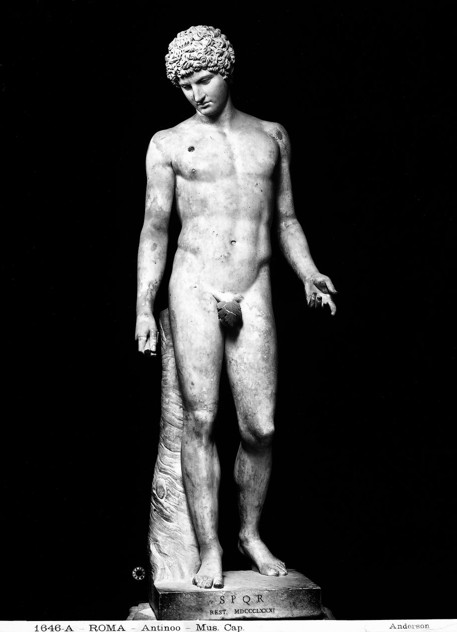Antinous by Roman Roman
