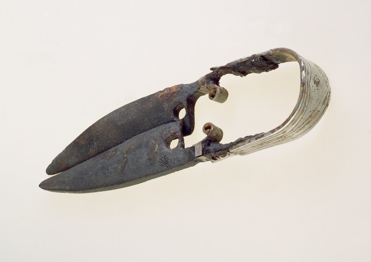 Pair of Shears by Roman Roman